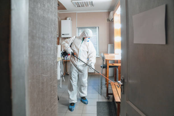 Best Environmental Consulting for Mold Prevention  in Goulds, FL
