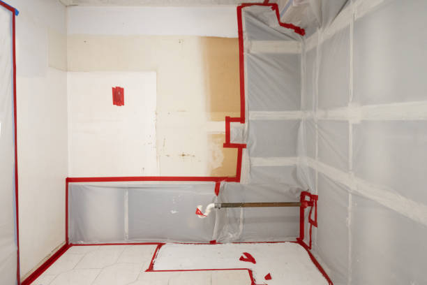 Best Basement Mold Removal  in Goulds, FL