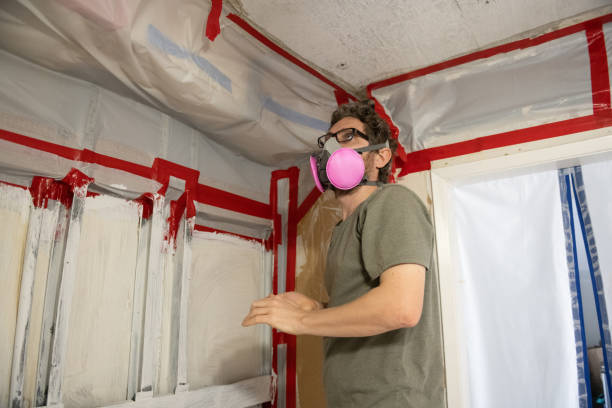 Biohazard Mold Removal in Goulds, FL