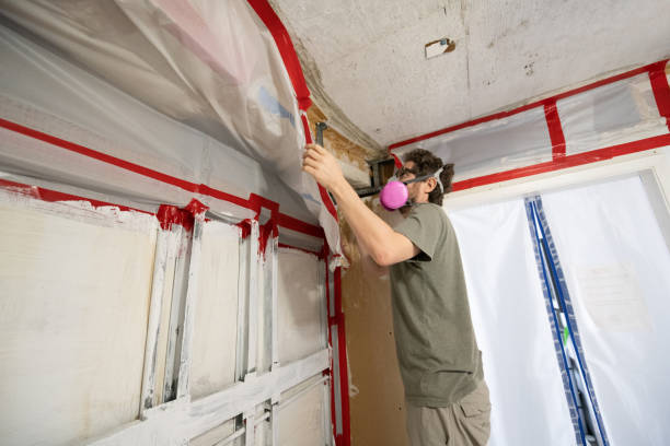 Best Airborne Mold Testing  in Goulds, FL