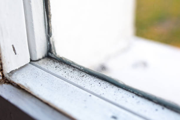 Mold Removal for HVAC Installations in Goulds, FL