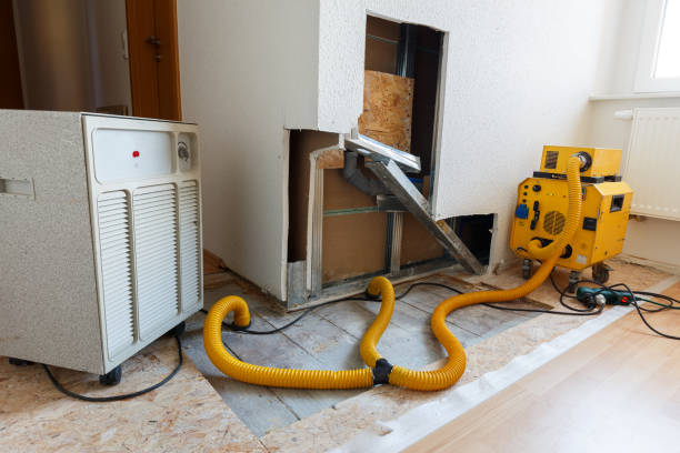 Best Mold Removal for HVAC Installations  in Goulds, FL